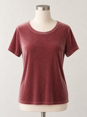 Velvet Abercrombie and Fitch Crewneck Short Sleeve Top Dusty Rose